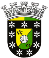 logo camc